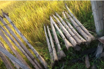 முல்லைத்தீவில் விஷமிகளால் வயல்வெளிக்கு தீமூட்டப்பட்டுள்ளமை தொடர்பில் முறைப்பாடு (photos)