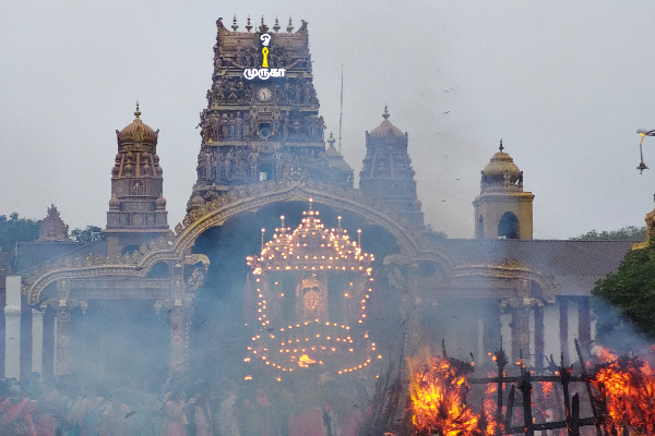 யாழ் - நல்லூர் கந்தசுவாமி ஆலயத்தின் திருக்கார்த்திகை உற்சவம் (படங்கள்) | Thirukarthikai Utsavam Nallur Kandaswamy Temple
