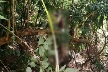 காட்டில் தற்கொலை செய்துக்கொண்ட இளைஞன்