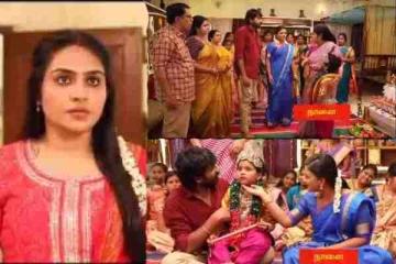 திடீரென முத்துவை திட்டும் ரோஹினியின் அம்மா, பதறிய மீனா.. சிறகடிக்க ஆசை சீரியல் புரொமோ