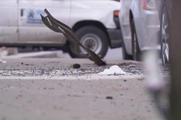 දුව මවට මිටි පහරක් ගසා සිදුකළ වැඩෙ.. ඇග කිළිපොලා යන කතාව..