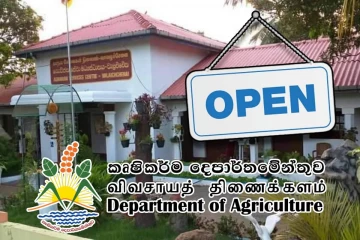 விடுமுறை நாட்களிலும் கமநல சேவை நிலையங்கள் திறப்பு : விவசாயிகளுக்கு வெளியான அறிவிப்பு