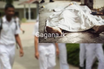 පාසලේදී තැඹිලි කඩන්න ගිය සිසුවා උණගසක් නිසා අවාසනාවන්ත ලෙස මියයයි..