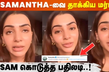 கலாய்த்தவருக்கு செம பதிலடி கொடுத்த சமந்தா