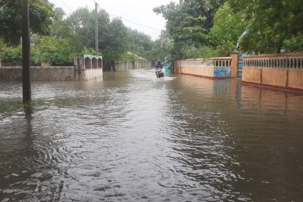 யாழ். மாவட்டத்தில் ஏற்பட்ட கடும் மழை! பல குடும்பங்கள் பாதிப்பு | Heavy Rain In Jaffna District