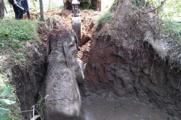 கருவலகஸ்வெவ பகுதியில் கிணற்றுக்குள் விழுந்த யானை மீட்பு (PHOTOS)