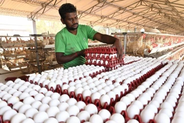 போர் பதற்றம் எதிரொலி.., நாமக்கலில் ஒரு கோடி முட்டைகள் தேக்கம்