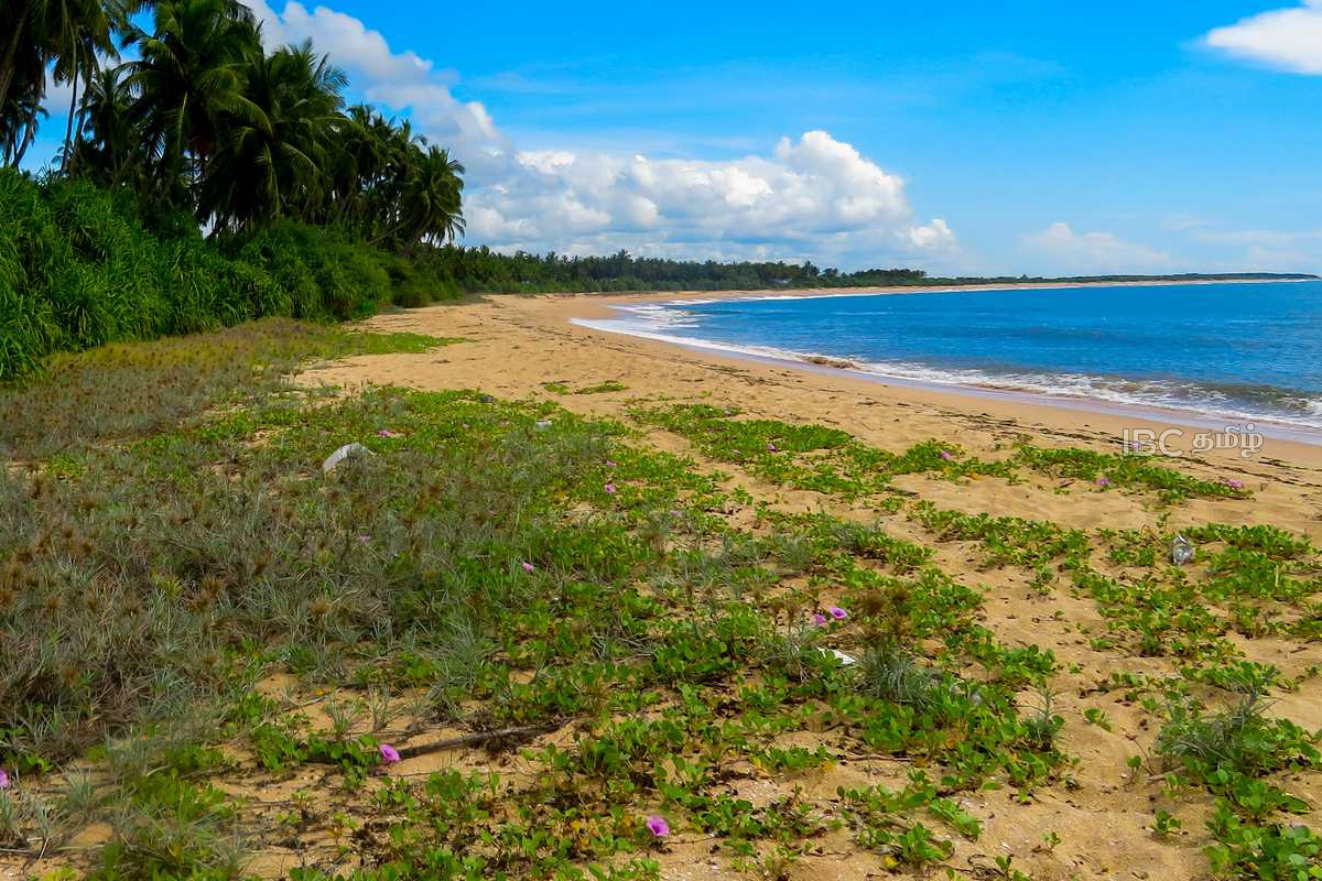 கடலில் பெற்றோருடன் நீராட சென்ற 3 சிறுவர்கள் மாயம் | 3 Children Who Went Swimming In The Sea Go Missing