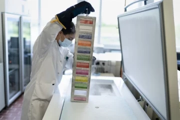 சுவிட்சர்லாந்தில் கழிவுநீரில் மேற்கொள்ளப்பட்ட ஆய்வு: வெளியாகியுள்ள முக்கிய தகவல்