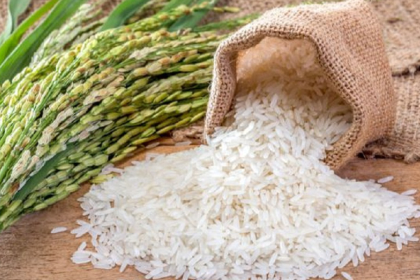 தடுப்பூசியை கொடுத்து அரிசி பெற திட்டம் | Plan To Get Rice By Giving Vaccine