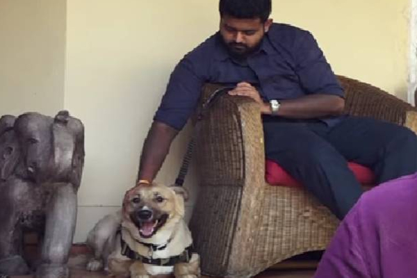 குவைத்திலிருந்து நாயின் உயிரை காப்பாற்றி இலங்கைக்கு கொண்டுவந்த நபர்! | Person Saved Dog Life Kuwait Brought It Sri Lanka