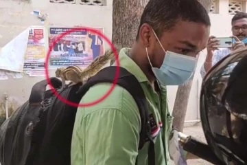 உயிரைக் காப்பாற்றிய மனிதரை விடாமல் துரத்தும் அணில் ! நம்பமுடியாத அசத்தல் காட்சி