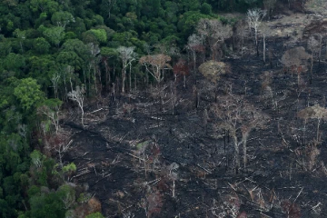 40 இங்கிலாந்து உணவு வணிகங்கள் பிரேசிலுக்கு விடுத்த எச்சரிக்கை!