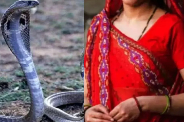 இரவில் பாம்பாக மாறும் மனைவி; அழுது புலம்பி கணவன் முறைப்பாடு! | Wife Starts Hissing Snake Night Husband Complaint