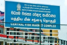 மீண்டும் பேலியகொட சந்தையில் கொரோனா தொற்று உறுதி!