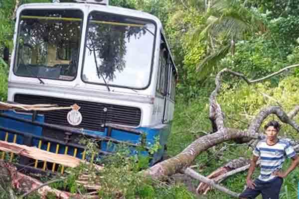 தடம்புரள்வு; மட்டுப்படுத்தப்பட்ட வடக்கு ரயில் சேவைகள் | Derailment Limited Northern Railway Services