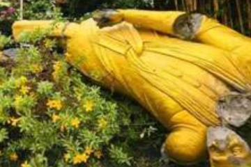 කඩා දැමු ඩී.ඒ. රාජපක්ෂ පිළිරුව ගැන නාමල් රාජපක්ෂ කී දේ..