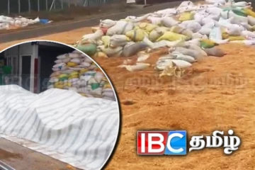 மன்னாரில் கண்டுபிடிக்கப்பட்ட பல டொன் பழுதடைந்த சோள விதைகள்! எடுக்கப்படவுள்ள நடவடிக்கை