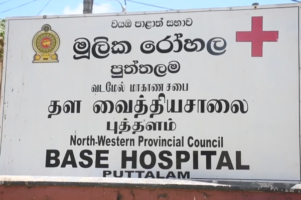 மின்சாரம் தாக்கி பாடசாலை மாணவன் பரிதாப மரணம் | School Student Dies Due To Electric Shock Puttalam