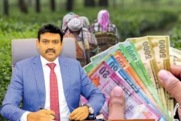 பெருந்தோட்ட தொழிலாளர்களின் சம்பளம்: நிறுவனங்களின் உத்தியோகபூர்வமான அறிவிப்பு விரைவில்