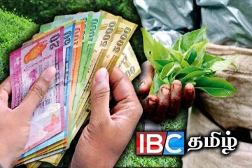 பெருந்தோட்டத் தொழிலாளர்களுக்கான 1700 சம்பளம் : அரச தரப்பு வெளியிட்ட தகவல்