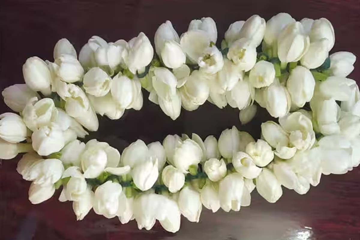 அட்சய திருதியை அன்று தங்கம் வாங்க முடியலையா? இந்த பொருளை வாங்கினாலே அதிர்ஷ்டம் | Can T Buy Gold Akshaya Tritiya Just Buy This Item