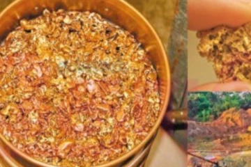 தங்க புதையலுக்கு 50 அடி குழி தோண்டிய குடும்பம்... இறுதியில் அரங்கேறிய பாரிய துயரம்