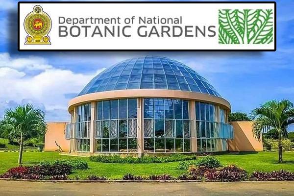 தாவரவியல் பூங்காக்களினால் இலங்கைக்கு குவிந்த வருமானம் | Botanical Gardens Income Crosses Rs One Billion