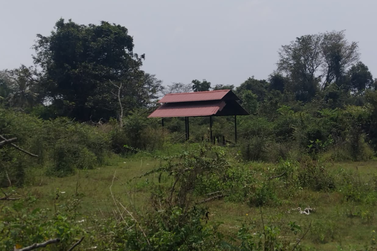 முல்லைத்தீவில் பற்றைக்காடாக கிடக்கும் சுடலை! கண்டுகொள்ளுமா புதுக்குடியிருப்பு பிரதேச சபை என மக்கள் விசனம் | Puthukudiyiruppu Cremation Ground Issue