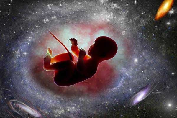 விண்வெளியில் குழந்தை பிறந்தால் என்ன நடக்கும்? | Baby Were Born In Space Explained In Tamil