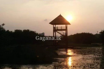 අන්තර්ජාතික තෙත්බිම් උද්‍යාන නියෝජිතයන් බැද්දගානෙහි නිරීක්ෂණ චාරිකාවක... (PHOTOS)