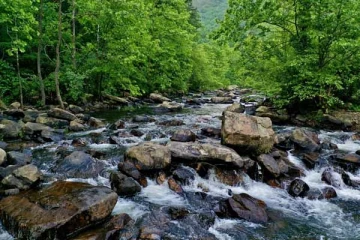 பொது மக்களுக்கு பொலிஸார் விடுத்துள்ள எச்சரிக்கை!