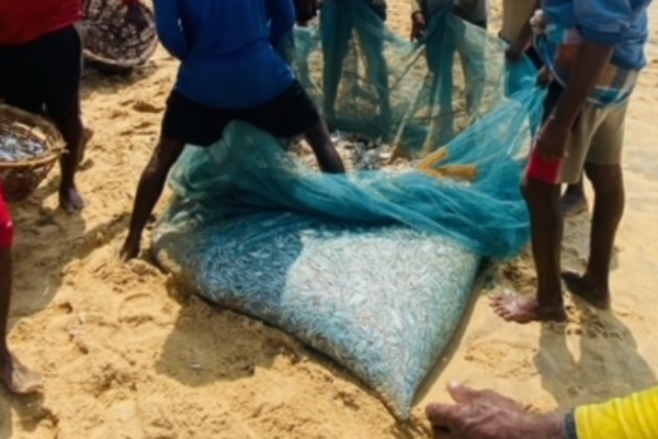 புத்தளம் மீனவர்களுக்கு இன்று அடித்த அதிஸ்டம்! | A Great Victory For Puttalam Fishermen Today புத்தளம் மீனவர்களுக்கு இன்று அடித்த அதிஸ்டம்! | A Great Victory For Puttalam Fishermen Today