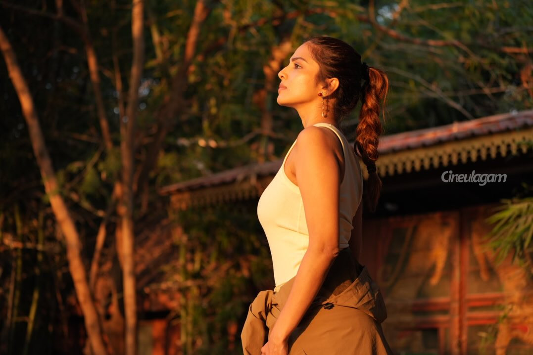 நடுக்காட்டில் போட்டோஷூட்.. மாளவிகா மோகனனின் இந்த புகைப்படங்களை எடுத்து யார் தெரியுமா 3 Gallery