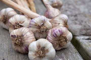 தினமும் 6 பல் வறுத்த பூண்டை சாப்பிட்டு வந்தால் கிடைக்கும் நன்மைகள் என்ன தெரியுமா?