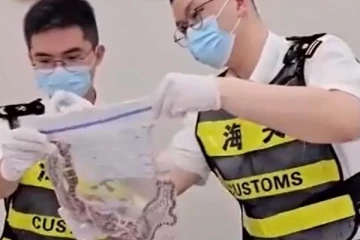 கால்சட்டைக்குள் 100 பாம்புகள், உள்ளாடைக்குள் ஐந்து பாம்புகள்: வெளிநாடொன்றில் சிக்கிய ஆணும் பெண்ணும்