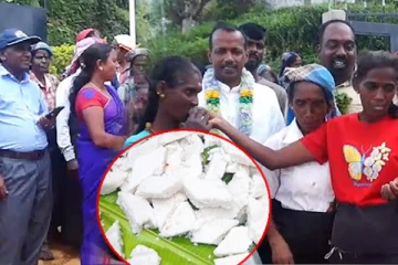 நுவரெலியாவில் பாற்சோறு சமைத்து கொண்டாடிய தோட்டத்தொழிலாளர்கள்