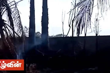 தெங்கு அபிவிருத்தி அதிகார சபையின் அச்சுவேலி பிராந்திய காரியாலயத்தில் தீ விபத்து