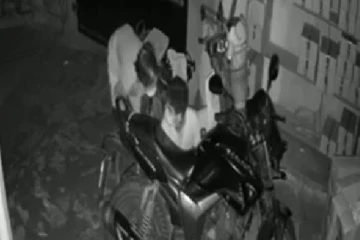 யாழில் வீட்டினுள் புகுந்து பெட்ரோல் திருட்டு: இணையத்தில் பரவும் காணொளி(Photo)