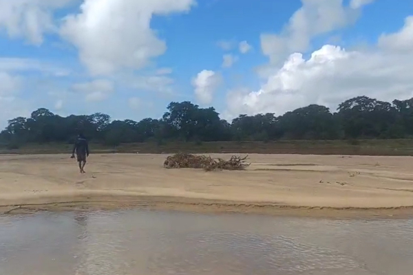 திருகோணமலையில் கடற்கரையாக மாறிய விவசாய நிலங்கள்! | Agricultural Lands Turned Beach Trincomalee Ditwah திருகோணமலையில் கடற்கரையாக மாறிய விவசாய நிலங்கள்! | Agricultural Lands Turned Beach Trincomalee Ditwah
