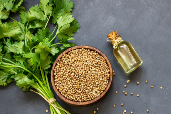 வழுக்கையில் முடி வளர கொத்தமல்லியை இதோட சேர்த்து தடவுங்க! 3 வாரத்திற்குள் அதிசயம் நடக்கும்! | How To Use Coriander Leaves For Hair Loss