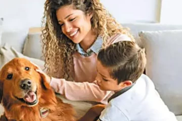 நிலை வாசலில் நாய் தலை வைத்துப் படுக்கிறதா? இந்த விஷயங்களில் கவனமாக இருங்கள்