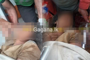 සුරූපී තරුණියක් යටි කය නිරුවත්ව සිහිසුන්ව තේ වත්තක වැටී සිටියදී හමුවෙයි..රෑ නින්දට ගිහින් සිදු වූ දේ.(PHOTOS)