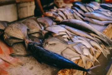 இலங்கையில் மீன் விலையில் திடீரென ஏற்பட்ட மாற்றம்!