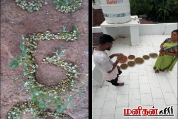 funny video: 10 நாட்கள் முயற்ச்சி... நவதானியங்களை வளர்ந்து மகனுக்கு வாழ்த்து கூறிய தாய்!