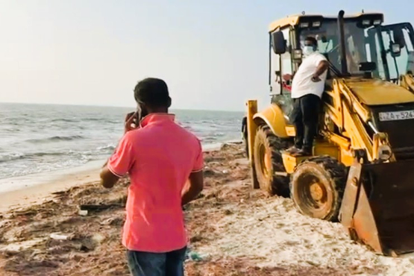 மன்னாரில் ஒரு வாரத்திற்கு விதிக்கப்பட்ட தடை | Meat Banned In Mannar For One Week