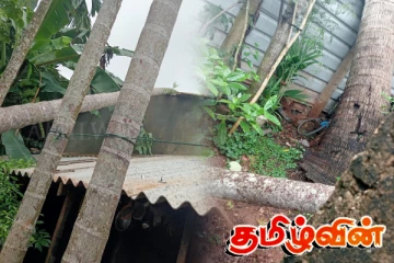 சீரற்ற காலநிலையால் யாழில் பாதிப்புக்குள்ளான பலர்