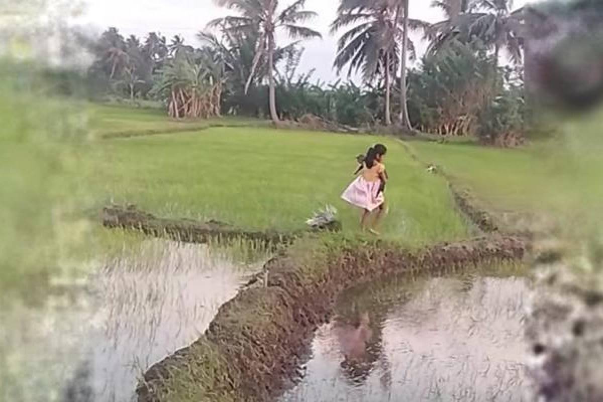 மனதை நெகிழ வைத்த காணொளி..! உலகம் முழுவதும் பேசப்படும் இலங்கை சிறுமியின் கதை.. | Little Girl Strolling Through Field With Hedgehog