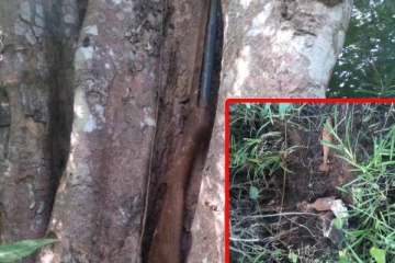 வவுனியாவில் மீட்கப்பட்ட அபாயகரமான பொருள்கள்!