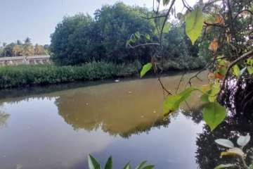 மீன்பிடிக்க சென்றவர் சடலமாக மீட்பு; தமிழர் பகுதியில் துயரம்